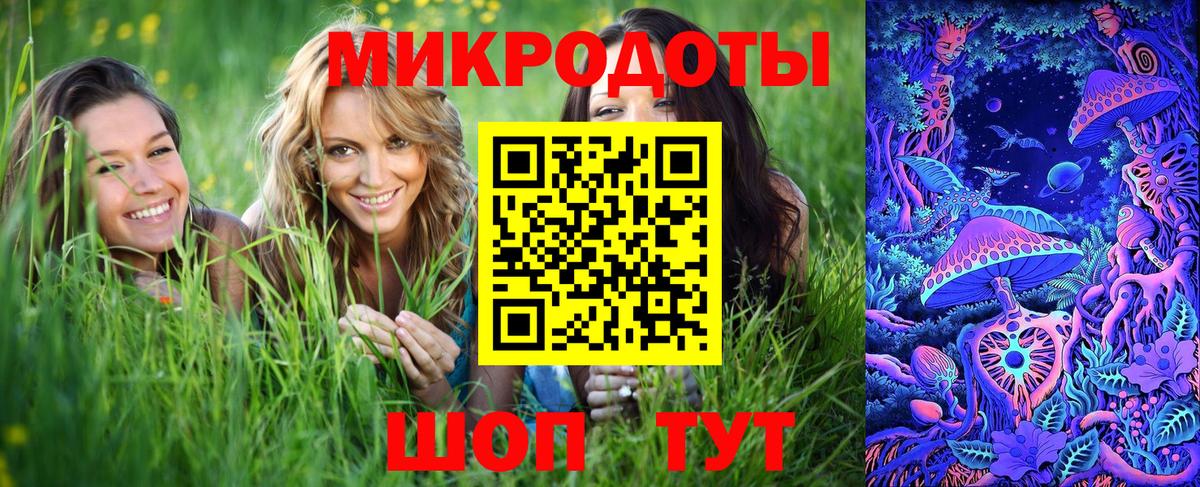 Псилоцибиновые грибы прущие грибы Клин