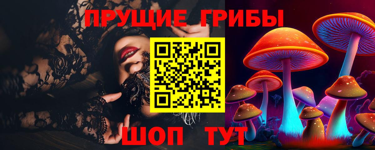 Псилоцибиновые грибы прущие грибы  Вход с VPN  Клин 